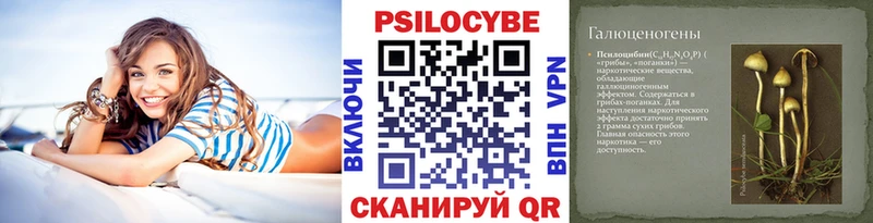 Псилоцибиновые грибы MAGIC MUSHROOMS  Купить где  Дагестанские Огни 